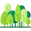 forest-2